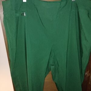 Women's Plus Size 26W ALFANI Cropped Pull on Pants Emerald Green
